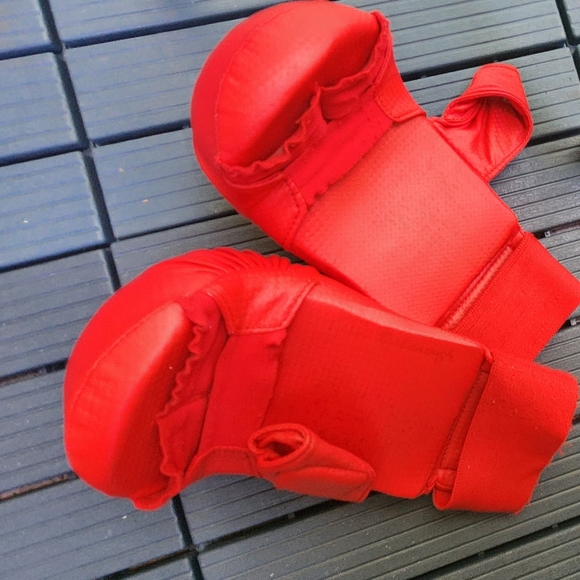 Karate Gloves - Picture 2 of 3